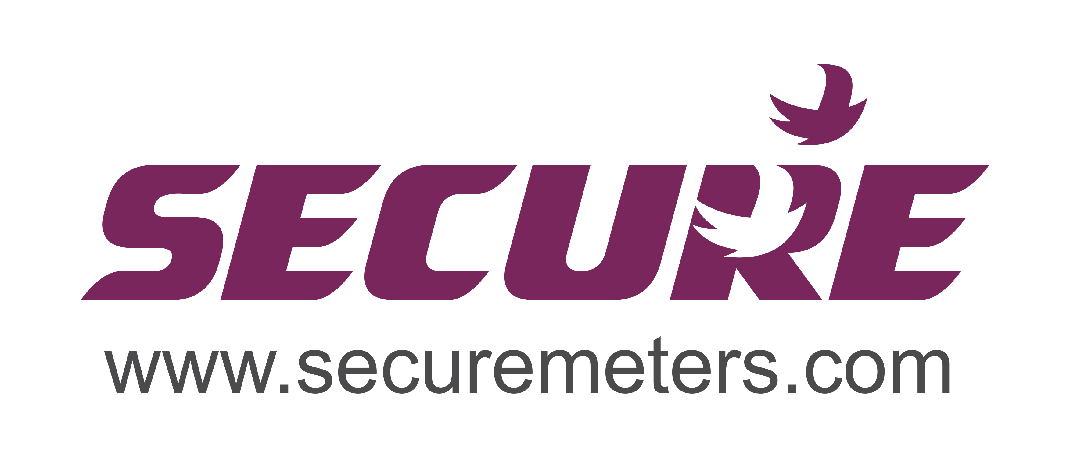 securemeters